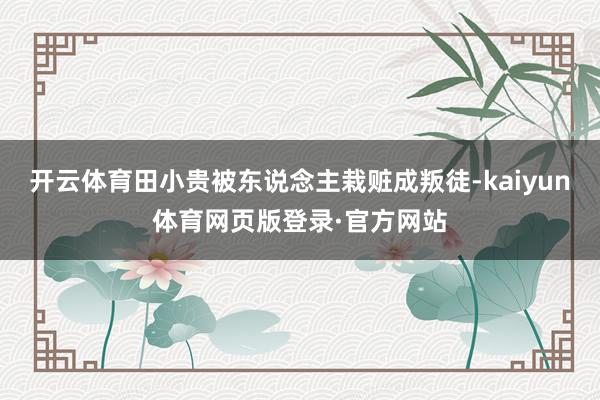 开云体育田小贵被东说念主栽赃成叛徒-kaiyun体育网页版登录·官方网站
